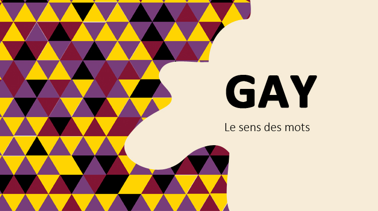 gay, pride, le sens des mots, radio france, linguistique