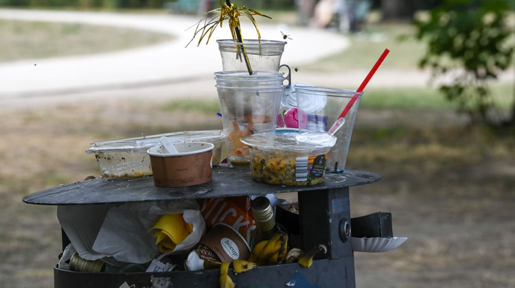 picture-alliance-Getty