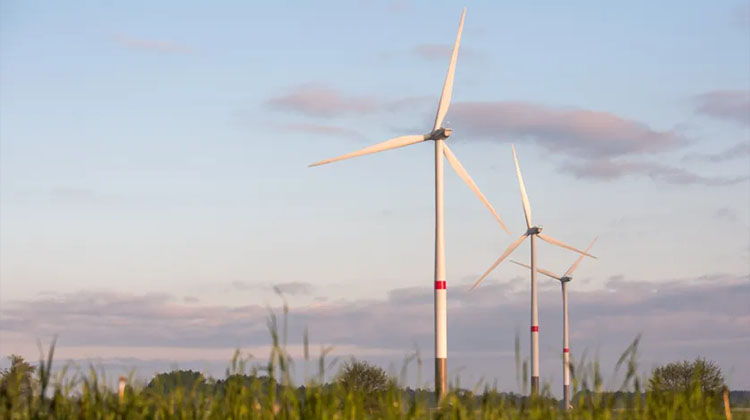 Champ d'éoliennes à Hambourg Crédits Getty
